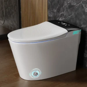 Smart Toilet with Bidet Built in